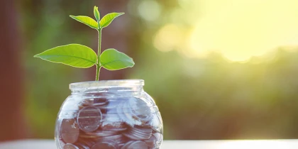 Glas voll mit Münzen und eine Pflanze wächst daraus